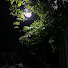 lCRiNYzpd6Y-channel-avatar-Night Soaked