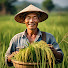 vVlRryHrIHc-channel-avatar-Lối Sống Tuổi Già