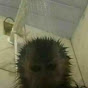 Olmin