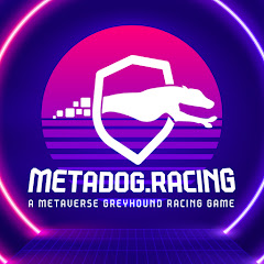 Meta Race World (Official)