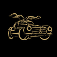 Steiner & Partner Classic Cars