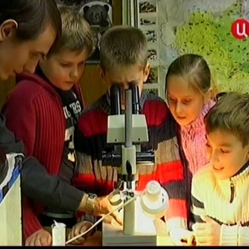 Александр Колосков Logo