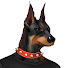 HWxnORS0DBg-channel-avatar-철멍뭉