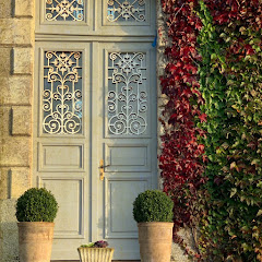 Our French Chateau Avatar