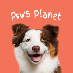 Paws Planet avatar