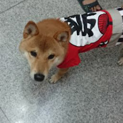 憨吉狗的生活日常アイコン画像