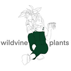 Wildvine.Plants net worth