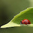 @BorisItkin's avatar