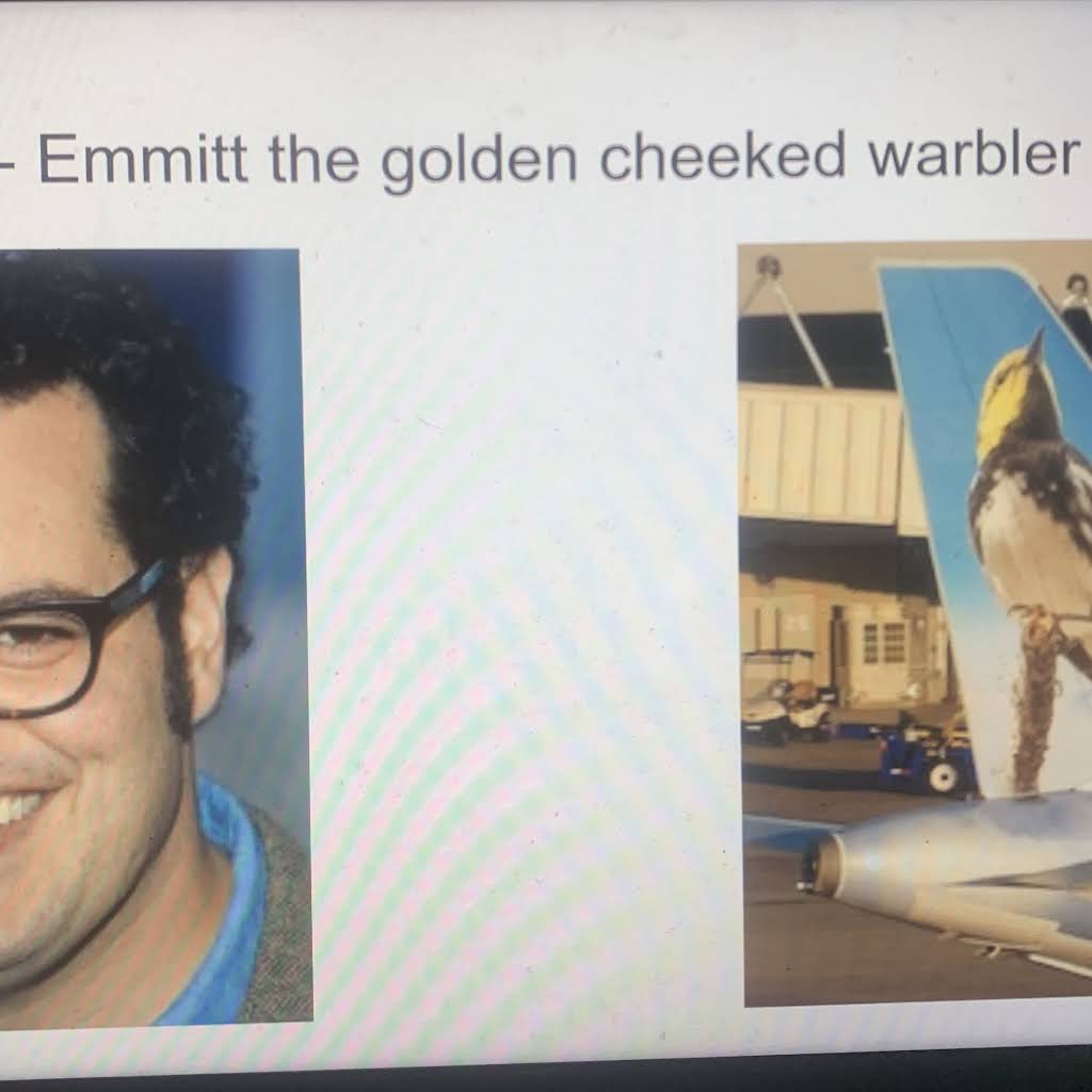 Shimon of birds and Super Mario fan2008 - YouTube