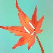 散紅葉 / Sanmomiji