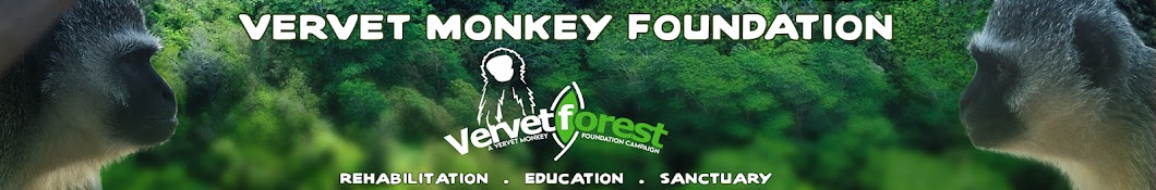 Vervet Monkey Foundation YouTube channel avatar