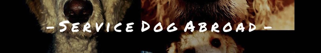 Service Dog Abroad YouTube-Kanal-Avatar