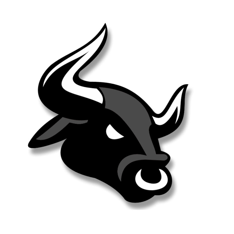 INDIAN STOCK MARKET CLASSES