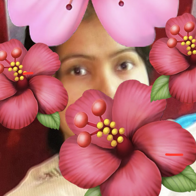 Sultana’s Diary