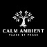 _RN9_5Zoh-E-channel-avatar-Calm Ambient