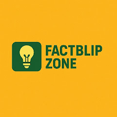 FactBlip Zone