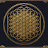 4aUvUGrmPU0-channel-avatar-gregoritto