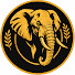 myqUARn1CGI-channel-avatar-Ndovu Wild
