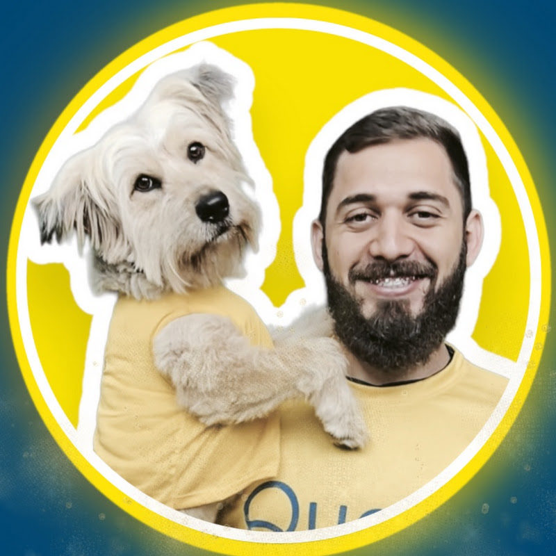 Osvaldirjr • MemorizaCão Adestramento