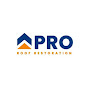 Pro Roof Restoration Brisbane logo