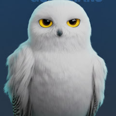 Animal Guardians