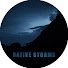 LeydVy_Dvp4-channel-avatar-Native Storms