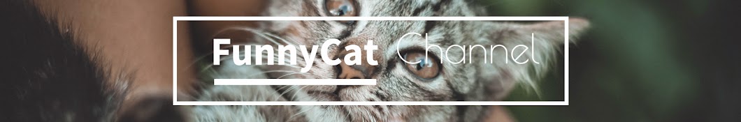 Funny Cat YouTube channel avatar