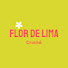9LX6u_uV8EU-channel-avatar-Flor de Lima Crochê