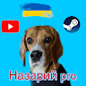 Автор