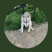 ユキちゃんねる