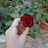 @البحرالاسود-س1م