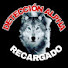 WZCryYO3jic-channel-avatar-DETECCION ALPHA 