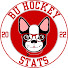 e12zfMIDzXQ-channel-avatar-BU Hockey Stats