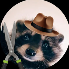 RacoonClips