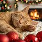 Cats Sleep Music Avatar