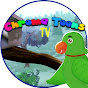 Chroma Toons Tv logo