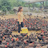 oK75vtYJmso-channel-avatar-Chicken Farm