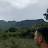 Mountain Forest and Me