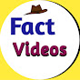 Fact Video 1 m logo