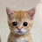 @user-fm6to1yl8i