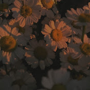 LoveFlowers
