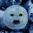 @elise-f9f