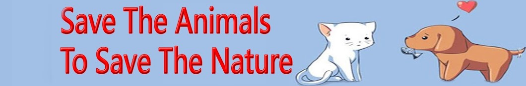 Animal lovers YouTube-Kanal-Avatar