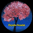 Cc-yfgOEGNQ-channel-avatar-Hepsiba Beulah