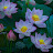 @tadka.dino2myself