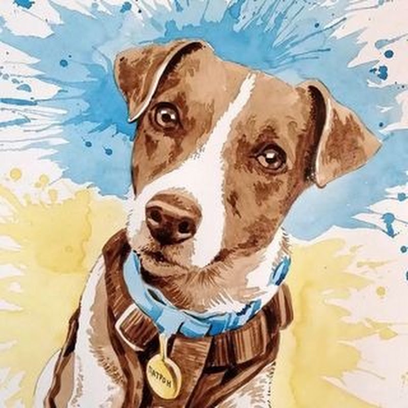 Patron The Dog