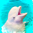 4cDvZrSUj_I-channel-avatar-Beluga【ベルーガ】