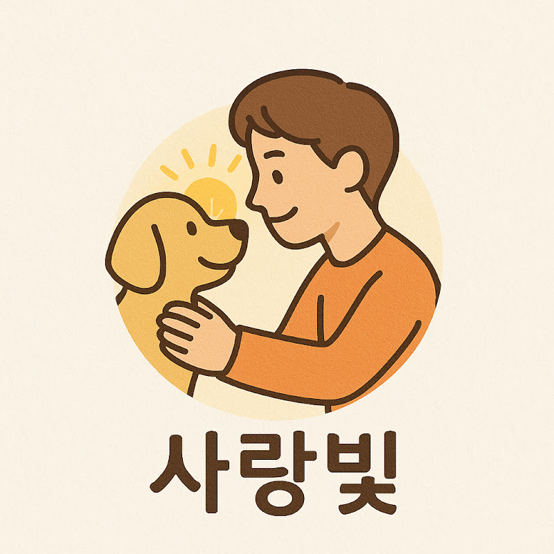 사랑빛