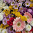 @user-zz6tp5ry8f