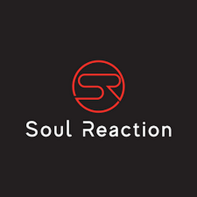 Reaction Soul 